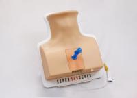 Sternal Puncture Trainer