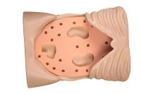 BE GP simulator — full-body anatomy view 6