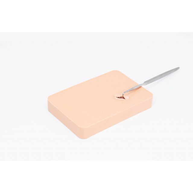 E.N.D.O. Abscess Incision and Drainage Trainer