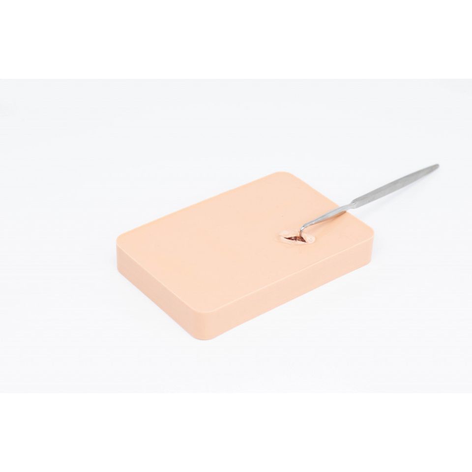 E.N.D.O. Abscess Incision and Drainage Trainer