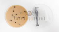 Tick Removal Trainer