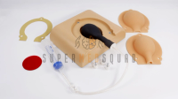 Amniocentesis and Placental Biopsy Trainer