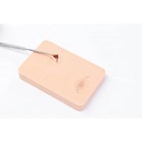 E.N.D.O. Abscess Incision and Drainage Trainer