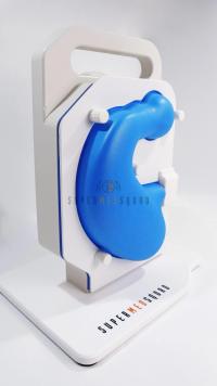 Gastroscopy Trainer (Simplified Version)