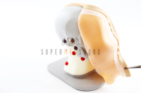 Head and Neck Lymph Node Palpation Trainer