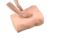 Abdominal Palpation Trainer