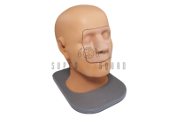Nasal and Paranasal Sinus Endoscopy Trainer
