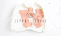 Adult Bronchoscopy Trainer