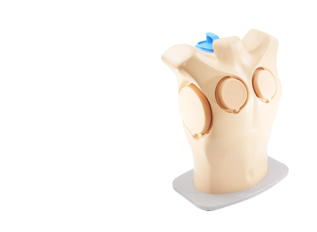 Pleural Drainage and Decompression Trainer