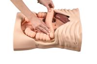 BE GP simulator — full-body anatomy view 8