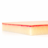 Anterior Abdominal Wall Pad with Skin and Linea Alba Closure