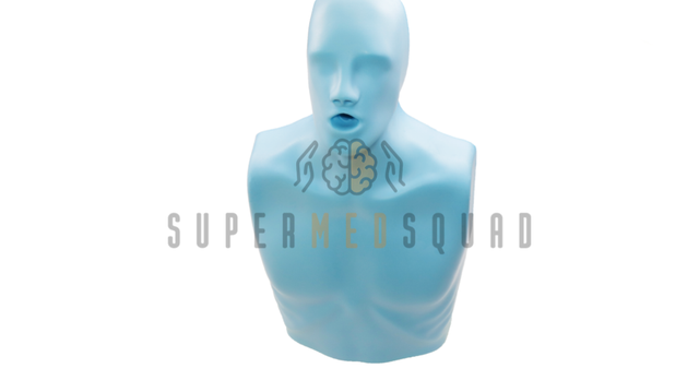 CPR Trainer (Non-Electronic)