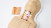 Trainer für bronchoskopiegeführte Koniotomie und Tracheotomie