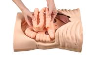 BE GP simulator — full-body anatomy view 1