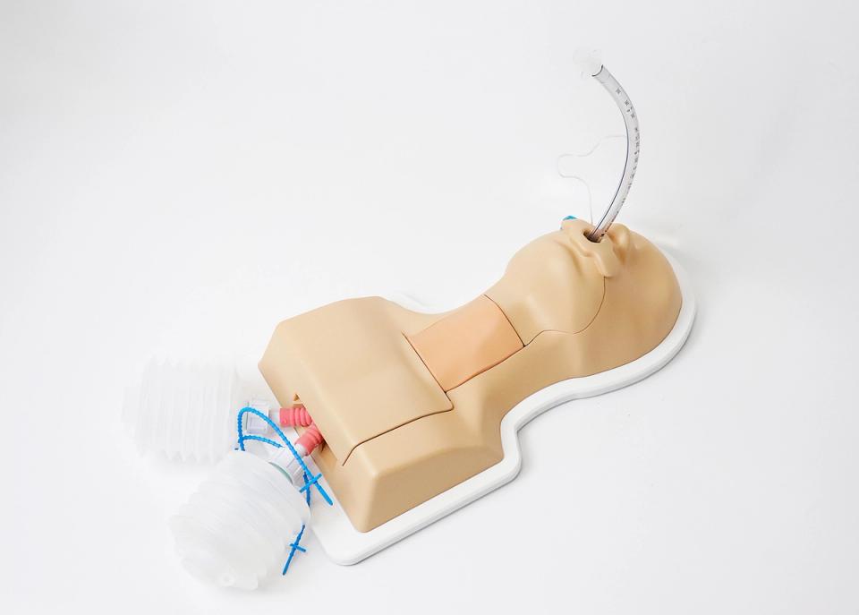 Trainer für bronchoskopiegeführte Koniotomie und Tracheotomie
