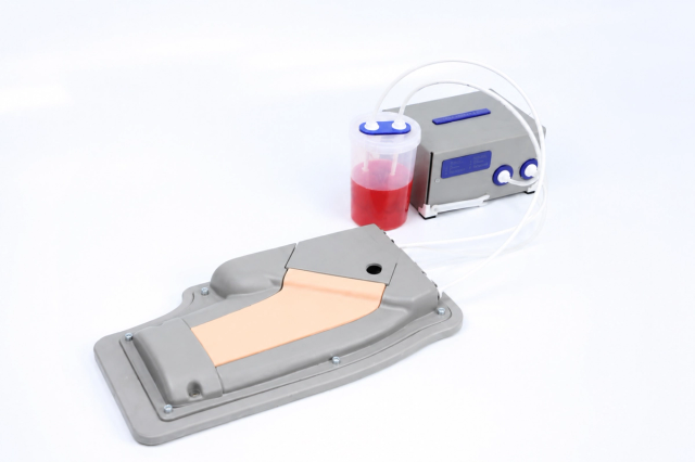 Femoral Vessel Catheterization Trainer