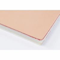 Anterior Abdominal Wall Pad with Skin and Linea Alba Closure