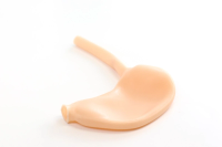 Diaphragm Simulation Platform for GERD Repair