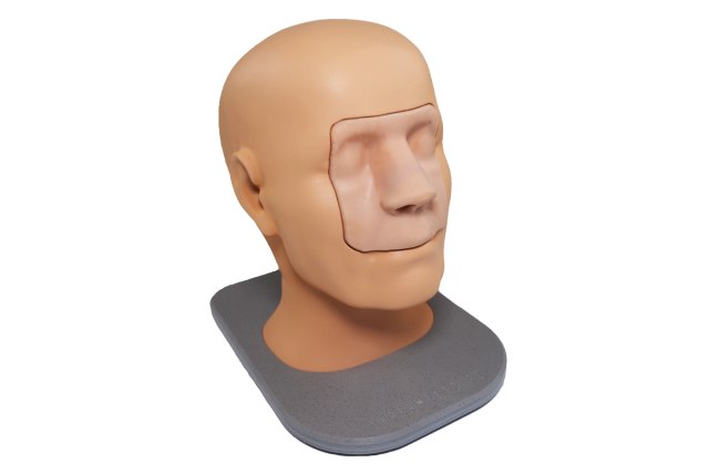 Nasal and Paranasal Sinus Endoscopy Trainer
