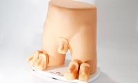 Pediatric Scrotal Examination Trainer
