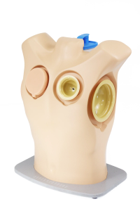 Pleural Drainage and Decompression Trainer
