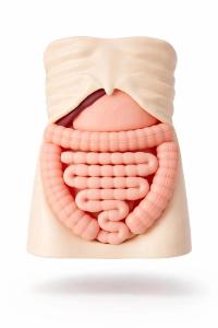 XR-Body Pediatric abdominal palpation phantom