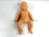 Infant Hip Dysplasia Trainer
