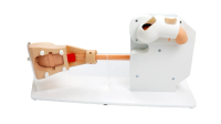 Advanced Gastroscopy Trainer