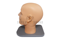 Nasal and Paranasal Sinus Endoscopy Trainer