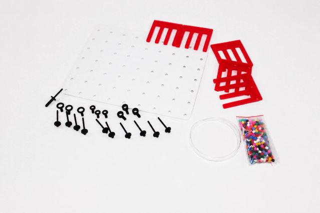 Basic Laparoscopic Skills Training Kit