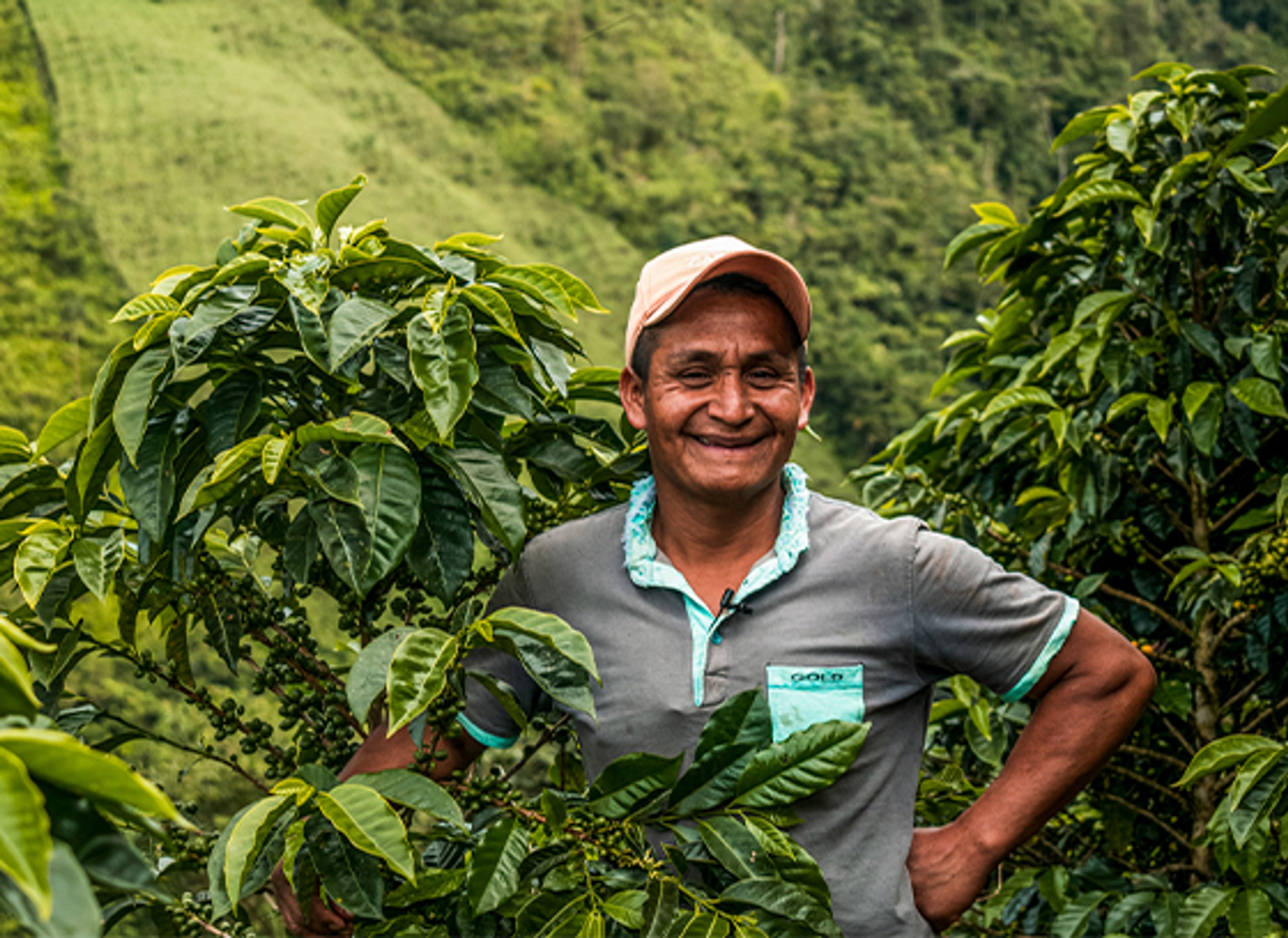 Our Coffee Farmers