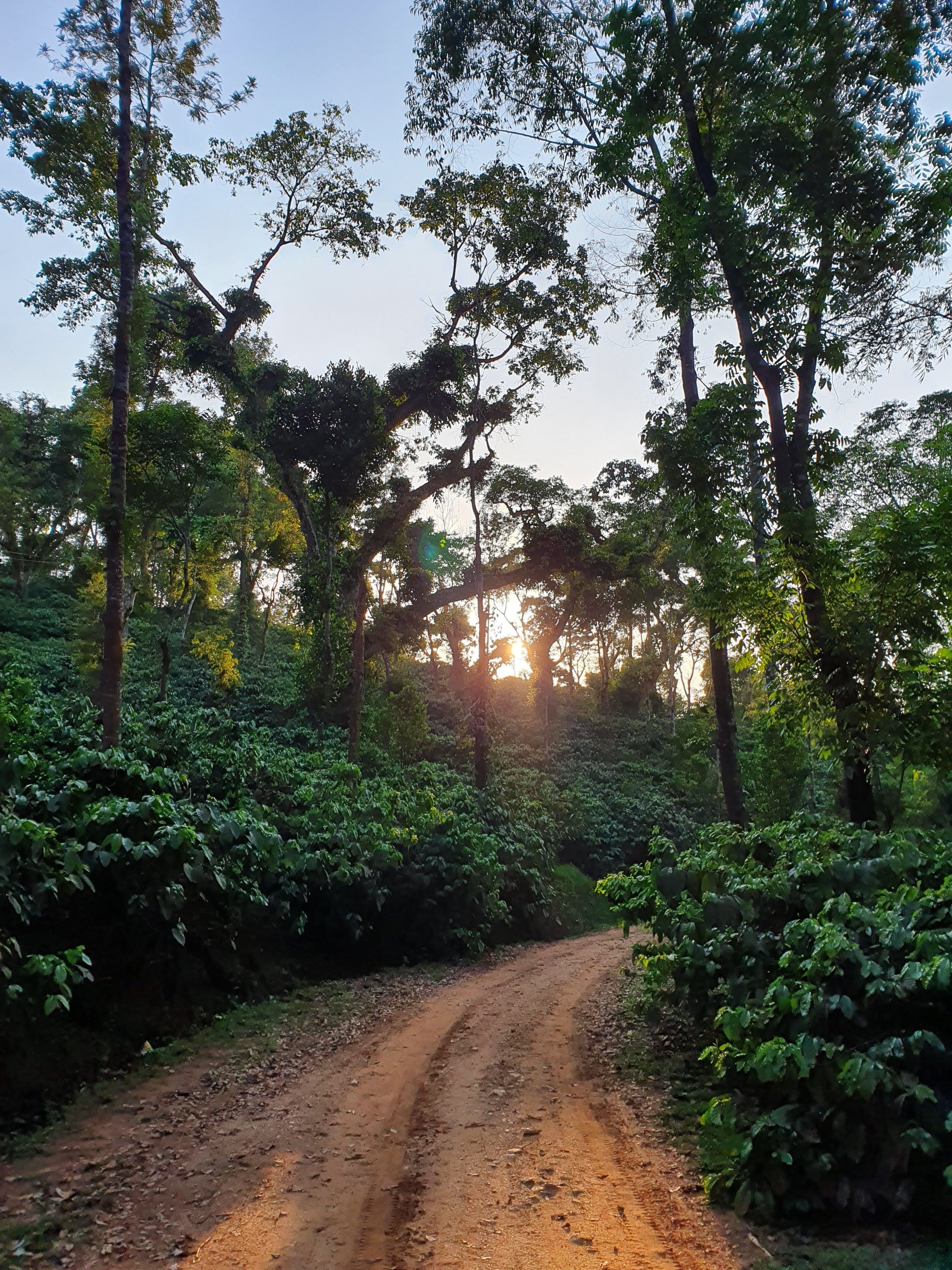 Harley Estate, DM Purnesh​​​​‌﻿‍﻿​‍​‍‌‍﻿﻿‌﻿​‍‌‍‍‌‌‍‌﻿‌‍‍‌‌‍﻿‍​‍​‍​﻿‍‍​‍​‍‌﻿​﻿‌‍​‌‌‍﻿‍‌‍‍‌‌﻿‌​‌﻿‍‌​‍﻿‍‌‍‍‌‌‍﻿﻿​‍​‍​‍﻿​​‍​‍‌‍‍​‌﻿​‍‌‍‌‌‌‍‌‍​‍​‍​﻿‍‍​‍​‍‌‍‍​‌﻿‌​‌﻿‌​‌﻿​​‌﻿​﻿​﻿‍‍​‍﻿﻿​‍﻿﻿‌﻿​﻿‌‍﻿﻿​‍﻿‌‌﻿​﻿‌‍​‌‌‍﻿‍‌‍‍‌‌﻿‌​‌﻿‍‌​‍﻿‌‌‍﻿‍‌‍‌‌‌﻿‍​‌﻿‌​‌‍‍‍‌﻿​﻿​‍﻿‌‌﻿‌​‌‍​‌‌﻿‌﻿‌‍﻿‍‌﻿‍‌​‍﻿‍‌﻿‌‍‌‍‌‌‌﻿​‍‌‍​﻿‌‍‌‌‌‍﻿​​‍﻿‍‌‍​‌‌﻿​​‌﻿​​​‍﻿﻿‌‍‍‌‌‍﻿‍‌﻿‌​‌‍‌‌‌‍﻿‍‌﻿‌​​‍﻿﻿‌‍‌‌‌‍‌​‌‍‍‌‌﻿‌​​‍﻿﻿‌‍﻿‌‌‍﻿﻿‌‍‌​‌‍‌‌​﻿﻿‌‌﻿​​‌﻿​‍‌‍‌‌‌﻿​﻿‌‍‌‌‌‍﻿‍‌﻿‌​‌‍​‌‌﻿‌​‌‍‍‌‌‍﻿﻿‌‍﻿‍​﻿‍﻿‌‍‍‌‌‍‌​​﻿﻿‌‌‍‌​‌‍‌​​﻿​‌‌‍‌‌​﻿‌​‌‍​‌‌‍​﻿‌‍​﻿​‍﻿‌‌‍‌‍​﻿‌‍‌‍​﻿​﻿‍​​‍﻿‌​﻿‌​​﻿‍​​﻿‌﻿‌‍‌​​‍﻿‌​﻿‍​​﻿​​​﻿‌​​﻿‌﻿​‍﻿‌​﻿‌‌​﻿​﻿‌‍‌‍​﻿‌​​﻿‌﻿​﻿​‍​﻿‌‌​﻿​‌​﻿​﻿‌‍‌‌‌‍‌‌​﻿‌​​﻿‍﻿‌﻿‌​‌﻿‍‌‌﻿​​‌‍‌‌​﻿﻿‌‌﻿​​‌‍﻿﻿‌﻿​﻿‌﻿‌​​﻿‍﻿‌﻿​​‌‍​‌‌﻿‌​‌‍‍​​﻿﻿‌‌‍​﻿‌‍﻿﻿‌﻿‌‍‌‍‌‌‌﻿​‍‌​‍‌‌‍﻿‌‌‍​‌‌‍‌﻿‌‍‌‌​‍﻿‍‌‍​‌‌‍﻿​‌﻿‌​​﻿﻿﻿‌‍​‍‌‍​‌‌﻿​﻿‌‍‌‌‌‌‌‌‌﻿​‍‌‍﻿​​﻿﻿‌‌‍‍​‌﻿‌​‌﻿‌​‌﻿​​‌﻿​﻿​‍‌‌​﻿​﻿‌​​‌​‍‌‌​﻿​‍‌​‌‍​‍‌‌​﻿​‍‌​‌‍‌﻿​﻿‌‍﻿﻿​‍﻿‌‌﻿​﻿‌‍​‌‌‍﻿‍‌‍‍‌‌﻿‌​‌﻿‍‌​‍﻿‌‌‍﻿‍‌‍‌‌‌﻿‍​‌﻿‌​‌‍‍‍‌﻿​﻿​‍﻿‌‌﻿‌​‌‍​‌‌﻿‌﻿‌‍﻿‍‌﻿‍‌​‍﻿‍‌﻿‌‍‌‍‌‌‌﻿​‍‌‍​﻿‌‍‌‌‌‍﻿​​‍﻿‍‌‍​‌‌﻿​​‌﻿​​​‍‌‍‌‍‍‌‌‍‌​​﻿﻿‌‌‍‌​‌‍‌​​﻿​‌‌‍‌‌​﻿‌​‌‍​‌‌‍​﻿‌‍​﻿​‍﻿‌‌‍‌‍​﻿‌‍‌‍​﻿​﻿‍​​‍﻿‌​﻿‌​​﻿‍​​﻿‌﻿‌‍‌​​‍﻿‌​﻿‍​​﻿​​​﻿‌​​﻿‌﻿​‍﻿‌​﻿‌‌​﻿​﻿‌‍‌‍​﻿‌​​﻿‌﻿​﻿​‍​﻿‌‌​﻿​‌​﻿​﻿‌‍‌‌‌‍‌‌​﻿‌​​‍‌‍‌﻿‌​‌﻿‍‌‌﻿​​‌‍‌‌​﻿﻿‌‌﻿​​‌‍﻿﻿‌﻿​﻿‌﻿‌​​‍‌‍‌﻿​​‌‍​‌‌﻿‌​‌‍‍​​﻿﻿‌‌‍​﻿‌‍﻿﻿‌﻿‌‍‌‍‌‌‌﻿​‍‌​‍‌‌‍﻿‌‌‍​‌‌‍‌﻿‌‍‌‌​‍﻿‍‌‍​‌‌‍﻿​‌﻿‌​​‍​‍‌﻿﻿‌