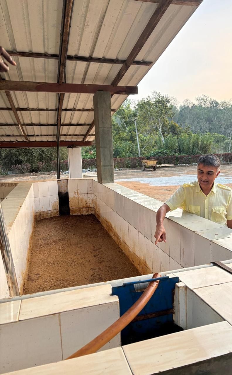 A man points into a large tiled vat filled with brown granular material at an agricultural processing facility.