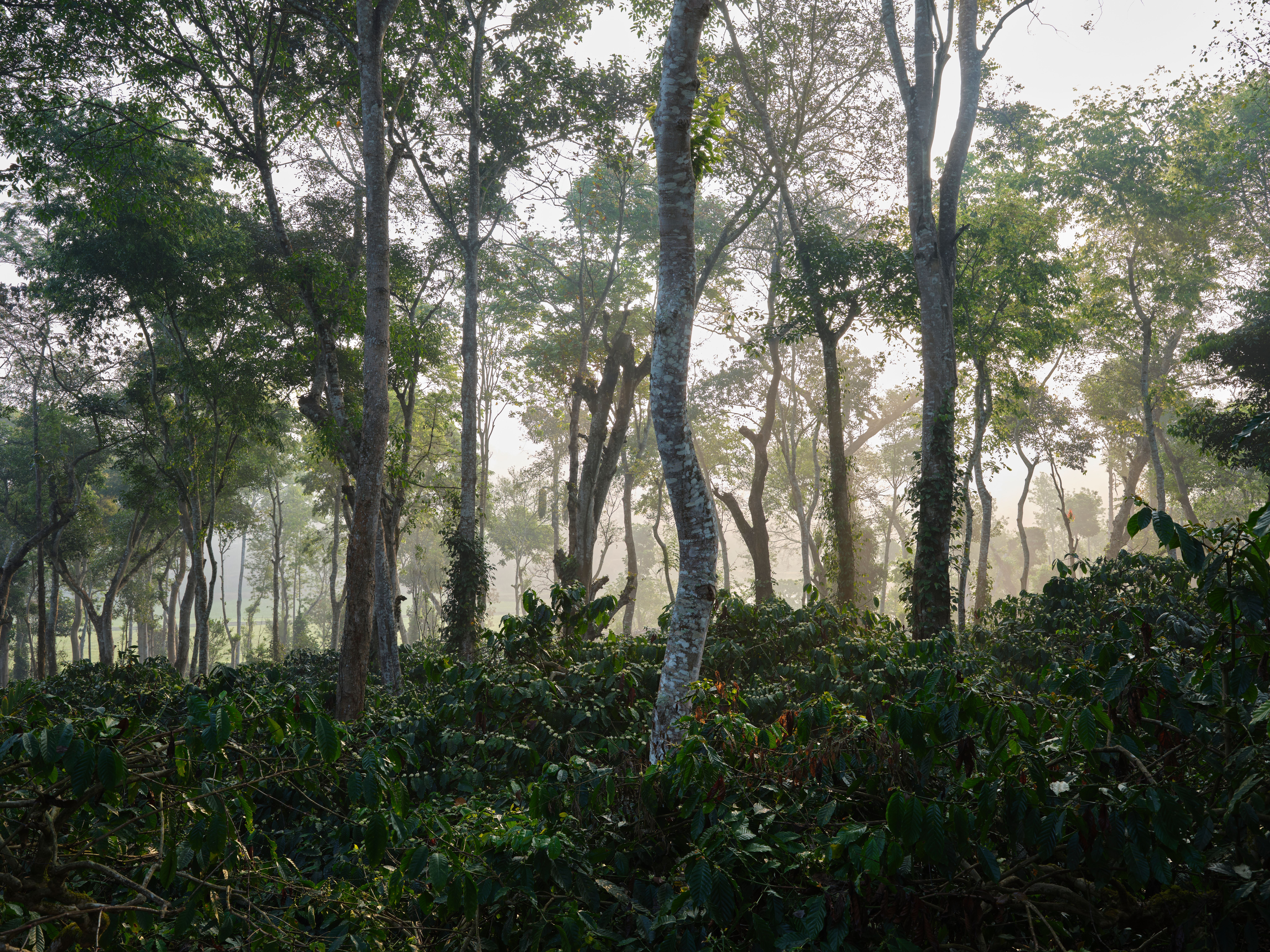 Riverside Estate​​​​‌﻿‍﻿​‍​‍‌‍﻿﻿‌﻿​‍‌‍‍‌‌‍‌﻿‌‍‍‌‌‍﻿‍​‍​‍​﻿‍‍​‍​‍‌﻿​﻿‌‍​‌‌‍﻿‍‌‍‍‌‌﻿‌​‌﻿‍‌​‍﻿‍‌‍‍‌‌‍﻿﻿​‍​‍​‍﻿​​‍​‍‌‍‍​‌﻿​‍‌‍‌‌‌‍‌‍​‍​‍​﻿‍‍​‍​‍‌‍‍​‌﻿‌​‌﻿‌​‌﻿​​‌﻿​﻿​﻿‍‍​‍﻿﻿​‍﻿﻿‌﻿​﻿‌‍﻿﻿​‍﻿‌‌﻿​﻿‌‍​‌‌‍﻿‍‌‍‍‌‌﻿‌​‌﻿‍‌​‍﻿‌‌‍﻿‍‌‍‌‌‌﻿‍​‌﻿‌​‌‍‍‍‌﻿​﻿​‍﻿‌‌﻿‌​‌‍​‌‌﻿‌﻿‌‍﻿‍‌﻿‍‌​‍﻿‍‌﻿‌‍‌‍‌‌‌﻿​‍‌‍​﻿‌‍‌‌‌‍﻿​​‍﻿‍‌‍​‌‌﻿​​‌﻿​​​‍﻿﻿‌‍‍‌‌‍﻿‍‌﻿‌​‌‍‌‌‌‍﻿‍‌﻿‌​​‍﻿﻿‌‍‌‌‌‍‌​‌‍‍‌‌﻿‌​​‍﻿﻿‌‍﻿‌‌‍﻿﻿‌‍‌​‌‍‌‌​﻿﻿‌‌﻿​​‌﻿​‍‌‍‌‌‌﻿​﻿‌‍‌‌‌‍﻿‍‌﻿‌​‌‍​‌‌﻿‌​‌‍‍‌‌‍﻿﻿‌‍﻿‍​﻿‍﻿‌‍‍‌‌‍‌​​﻿﻿‌​﻿‌‌​﻿‌​​﻿​﻿​﻿‍‌‌‍‌‍‌‍‌‍‌‍‌​‌‍​‌​‍﻿‌‌‍‌‍​﻿‍‌​﻿‍​‌‍‌‍​‍﻿‌​﻿‌​‌‍‌​​﻿‌​​﻿​‌​‍﻿‌​﻿‍‌​﻿‌‌‌‍‌‌​﻿‍‌​‍﻿‌​﻿‍​‌‍​﻿‌‍‌‍‌‍​﻿​﻿‍‌​﻿‌​‌‍​﻿​﻿​​‌‍‌‌​﻿​‌‌‍‌‍​﻿‍​​﻿‍﻿‌﻿‌​‌﻿‍‌‌﻿​​‌‍‌‌​﻿﻿‌‌﻿​​‌‍﻿﻿‌﻿​﻿‌﻿‌​​﻿‍﻿‌﻿​​‌‍​‌‌﻿‌​‌‍‍​​﻿﻿‌‌‍​﻿‌‍﻿﻿‌﻿‌‍‌‍‌‌‌﻿​‍‌​‍‌‌‍﻿‌‌‍​‌‌‍‌﻿‌‍‌‌​‍﻿‍‌‍​‌‌‍﻿​‌﻿‌​​﻿﻿﻿‌‍​‍‌‍​‌‌﻿​﻿‌‍‌‌‌‌‌‌‌﻿​‍‌‍﻿​​﻿﻿‌‌‍‍​‌﻿‌​‌﻿‌​‌﻿​​‌﻿​﻿​‍‌‌​﻿​﻿‌​​‌​‍‌‌​﻿​‍‌​‌‍​‍‌‌​﻿​‍‌​‌‍‌﻿​﻿‌‍﻿﻿​‍﻿‌‌﻿​﻿‌‍​‌‌‍﻿‍‌‍‍‌‌﻿‌​‌﻿‍‌​‍﻿‌‌‍﻿‍‌‍‌‌‌﻿‍​‌﻿‌​‌‍‍‍‌﻿​﻿​‍﻿‌‌﻿‌​‌‍​‌‌﻿‌﻿‌‍﻿‍‌﻿‍‌​‍﻿‍‌﻿‌‍‌‍‌‌‌﻿​‍‌‍​﻿‌‍‌‌‌‍﻿​​‍﻿‍‌‍​‌‌﻿​​‌﻿​​​‍‌‍‌‍‍‌‌‍‌​​﻿﻿‌​﻿‌‌​﻿‌​​﻿​﻿​﻿‍‌‌‍‌‍‌‍‌‍‌‍‌​‌‍​‌​‍﻿‌‌‍‌‍​﻿‍‌​﻿‍​‌‍‌‍​‍﻿‌​﻿‌​‌‍‌​​﻿‌​​﻿​‌​‍﻿‌​﻿‍‌​﻿‌‌‌‍‌‌​﻿‍‌​‍﻿‌​﻿‍​‌‍​﻿‌‍‌‍‌‍​﻿​﻿‍‌​﻿‌​‌‍​﻿​﻿​​‌‍‌‌​﻿​‌‌‍‌‍​﻿‍​​‍‌‍‌﻿‌​‌﻿‍‌‌﻿​​‌‍‌‌​﻿﻿‌‌﻿​​‌‍﻿﻿‌﻿​﻿‌﻿‌​​‍‌‍‌﻿​​‌‍​‌‌﻿‌​‌‍‍​​﻿﻿‌‌‍​﻿‌‍﻿﻿‌﻿‌‍‌‍‌‌‌﻿​‍‌​‍‌‌‍﻿‌‌‍​‌‌‍‌﻿‌‍‌‌​‍﻿‍‌‍​‌‌‍﻿​‌﻿‌​​‍​‍‌﻿﻿‌