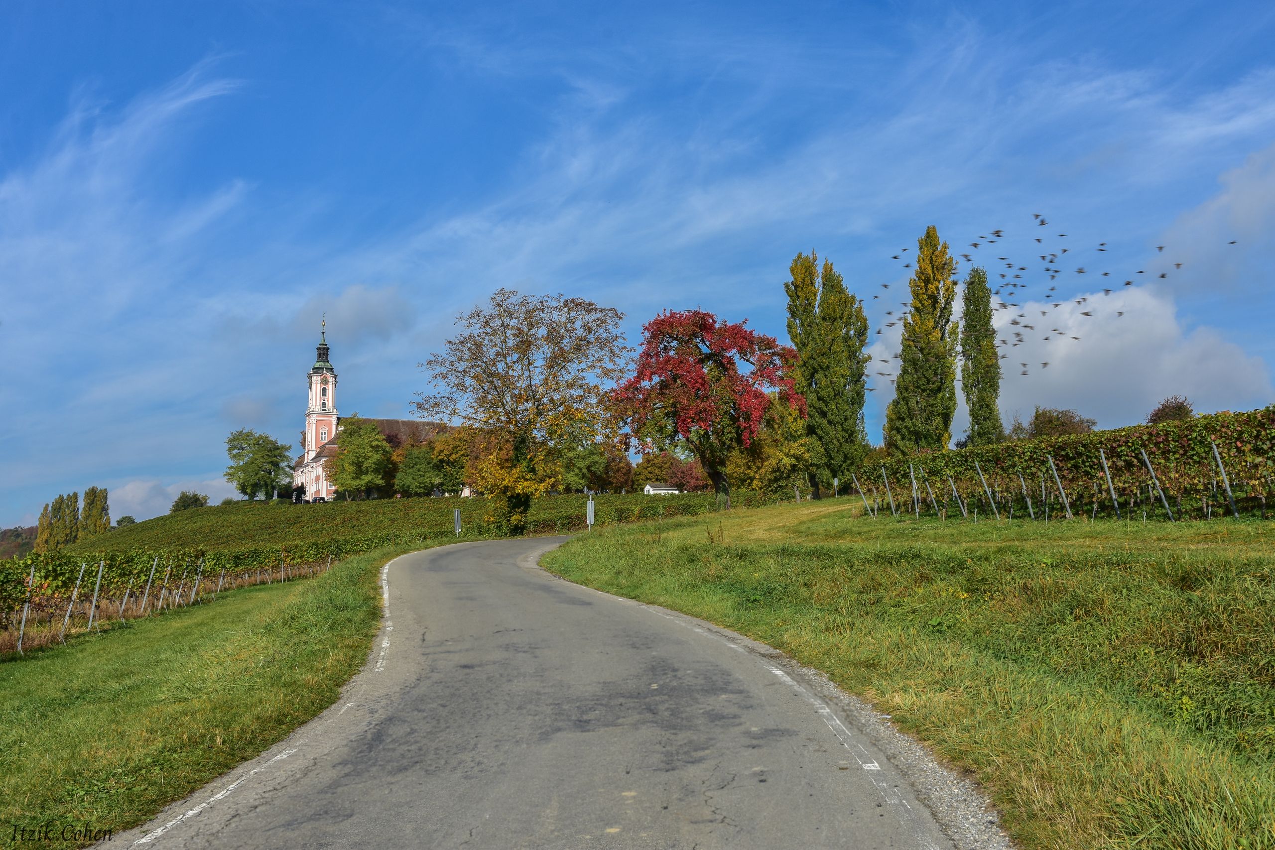 Landscape Study 004 by Itzik Cohen