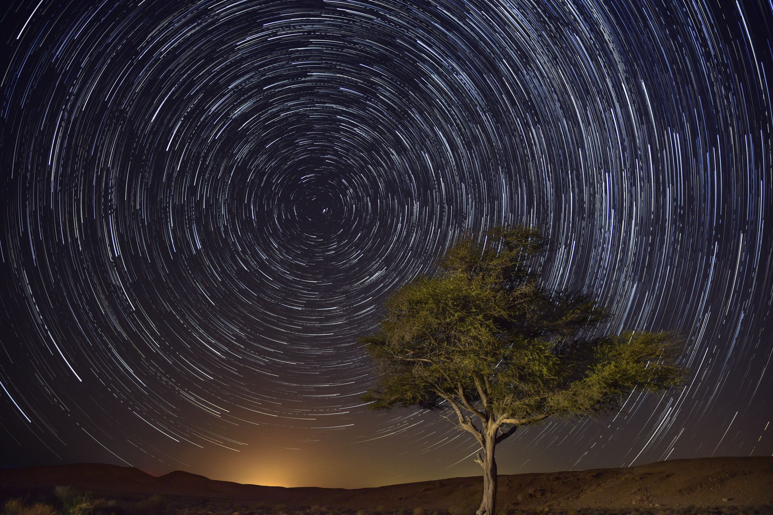 Star Trail Study 004 by Itzik Cohen