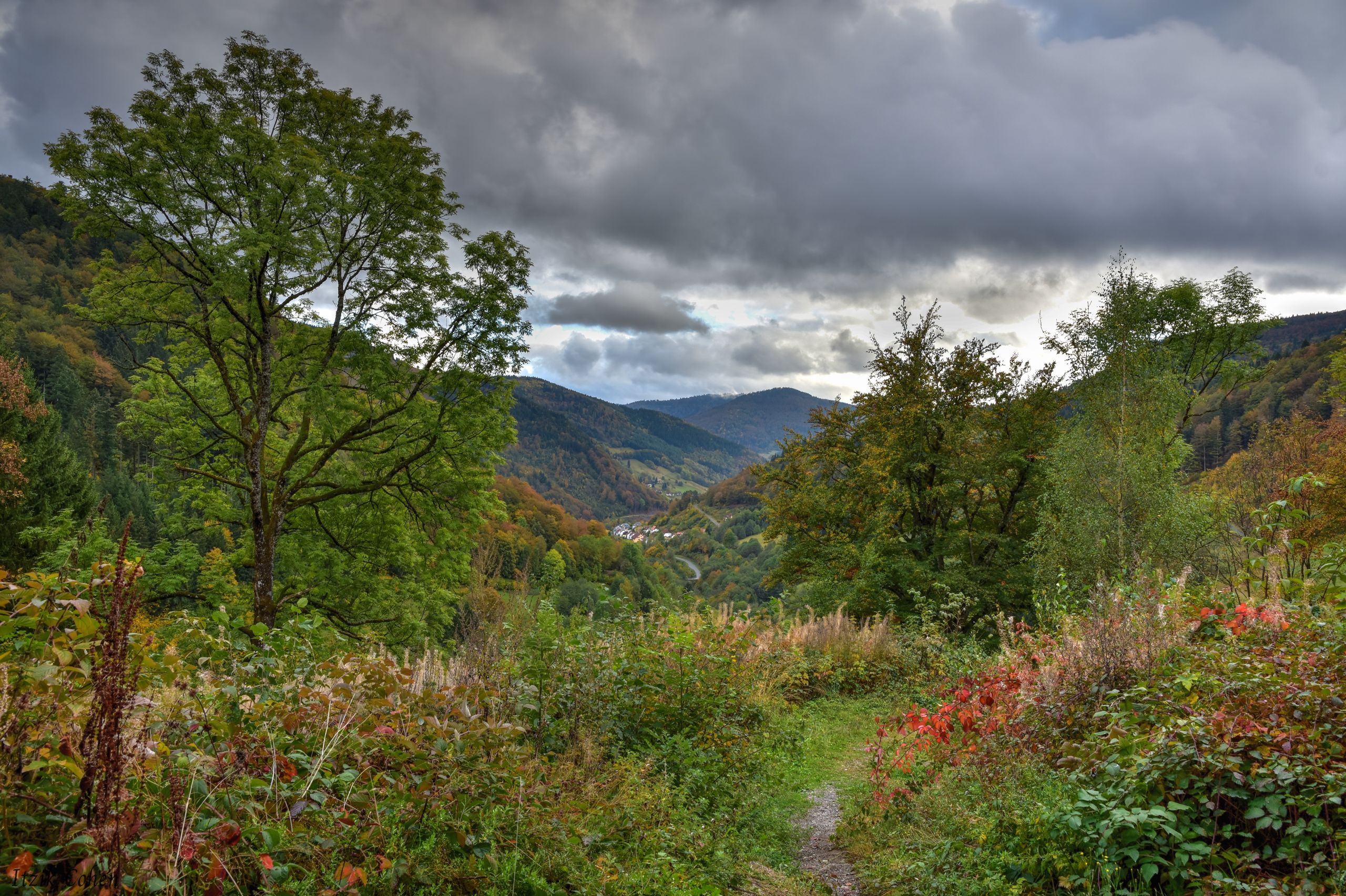 Landscape Study 003 by Itzik Cohen