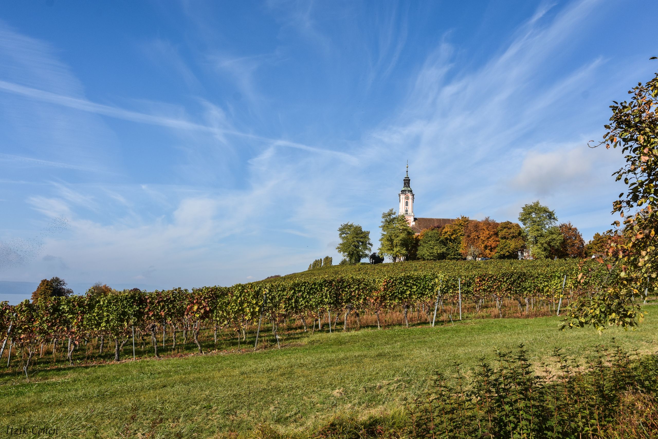 Landscape Study 002 by Itzik Cohen