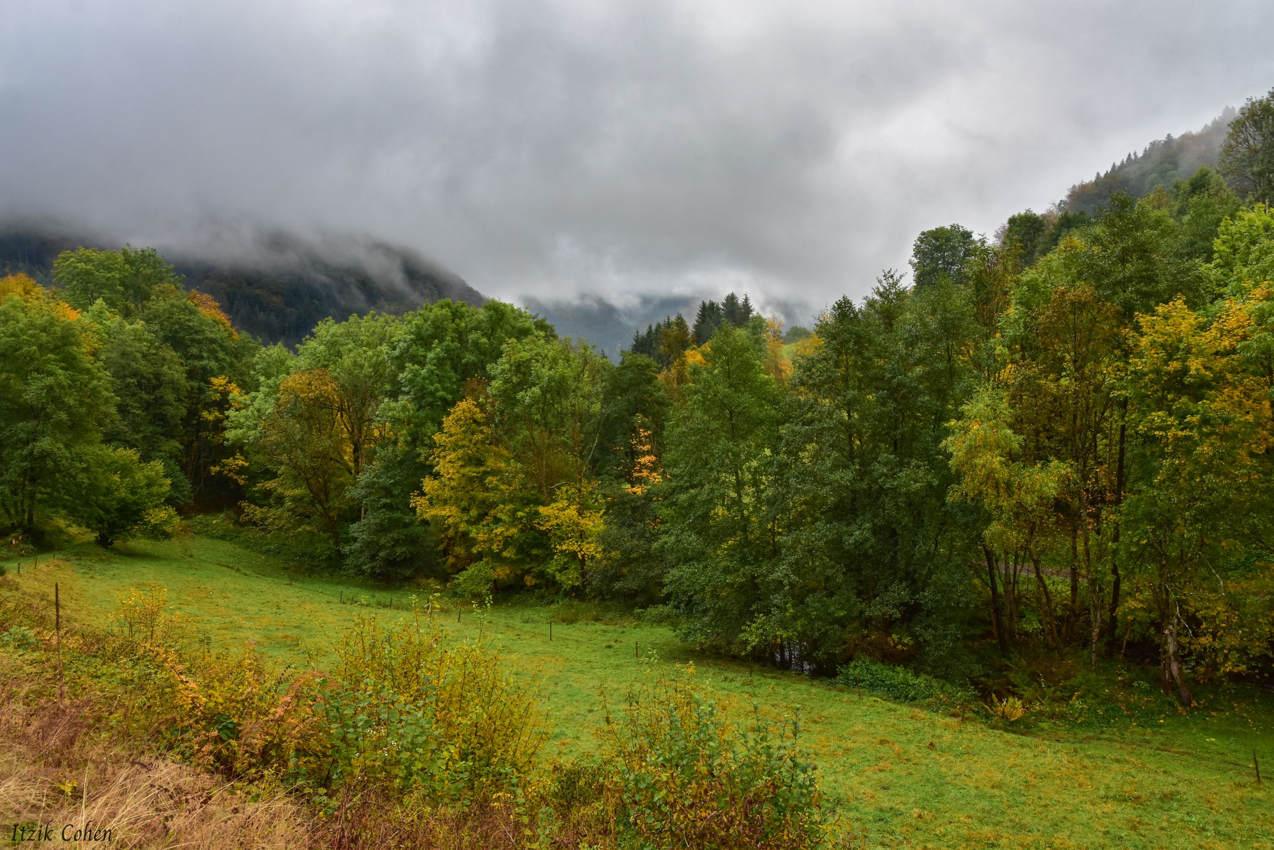 Landscape Study 017 by Itzik Cohen