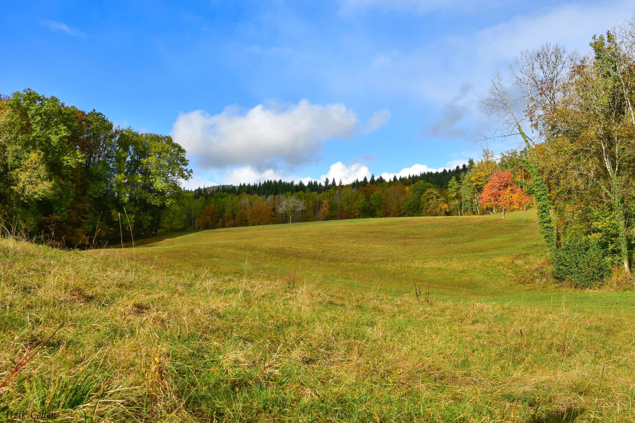 Landscape Study 016 by Itzik Cohen