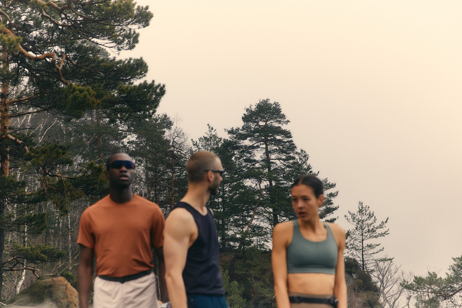 Three runners pause among pine trees