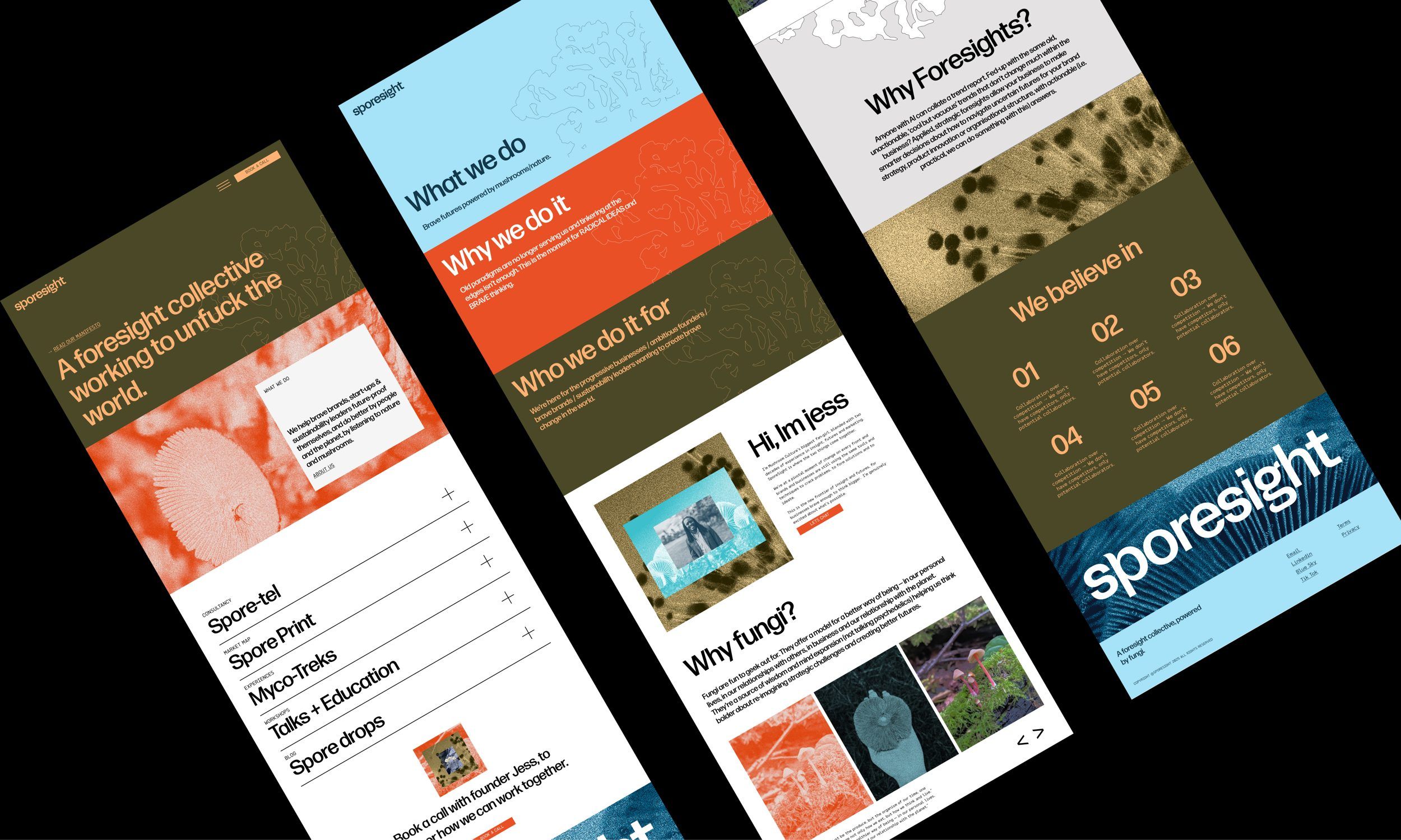 Three Sporesight website screens featuring fungal research and education
