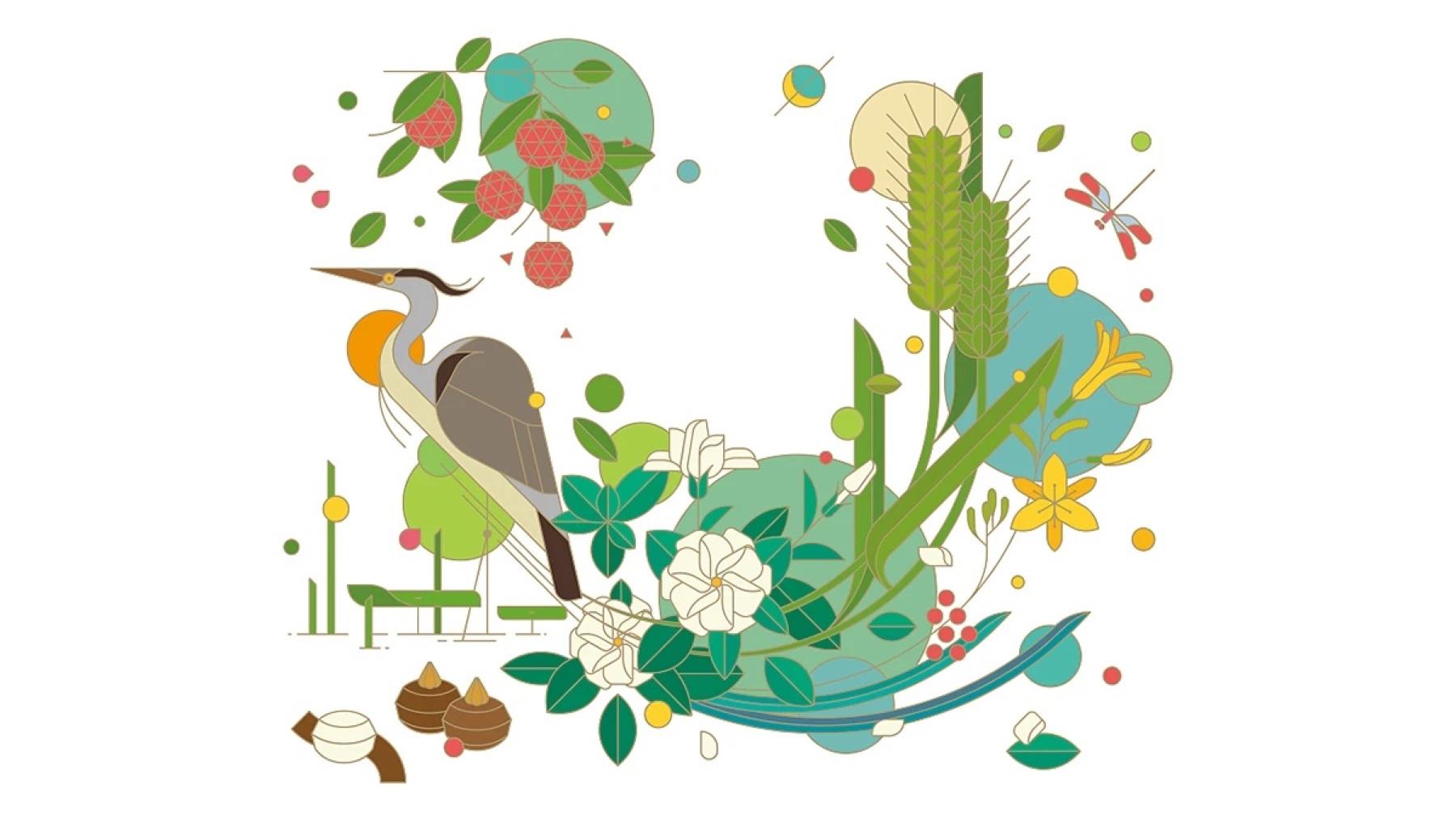 Baiyao LIFE+ heron and reeds illustration, full artwork