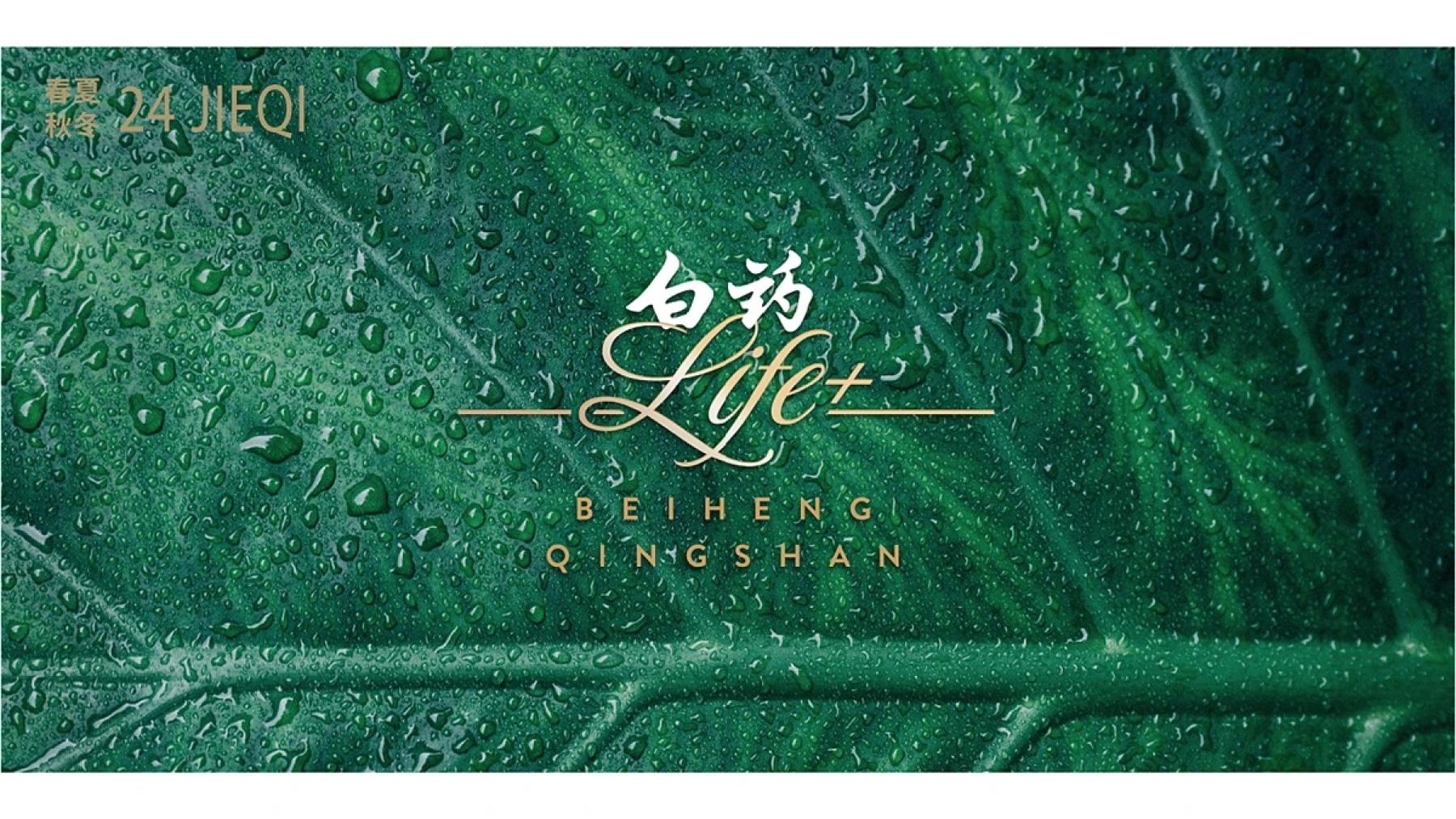 Baiyao LIFE+ logo over a dewy green leaf