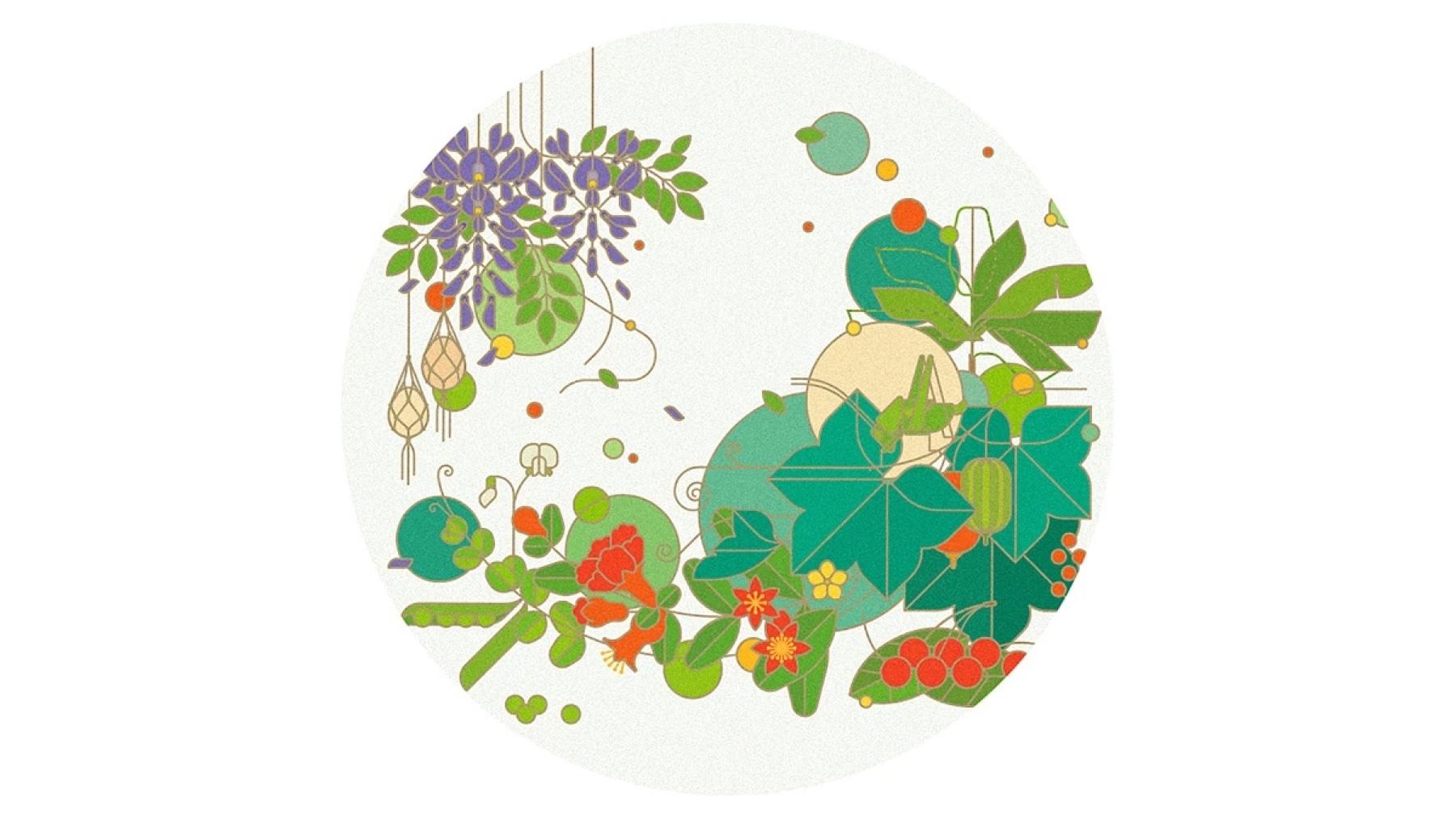 Baiyao LIFE+ round wisteria illustration on a pale background