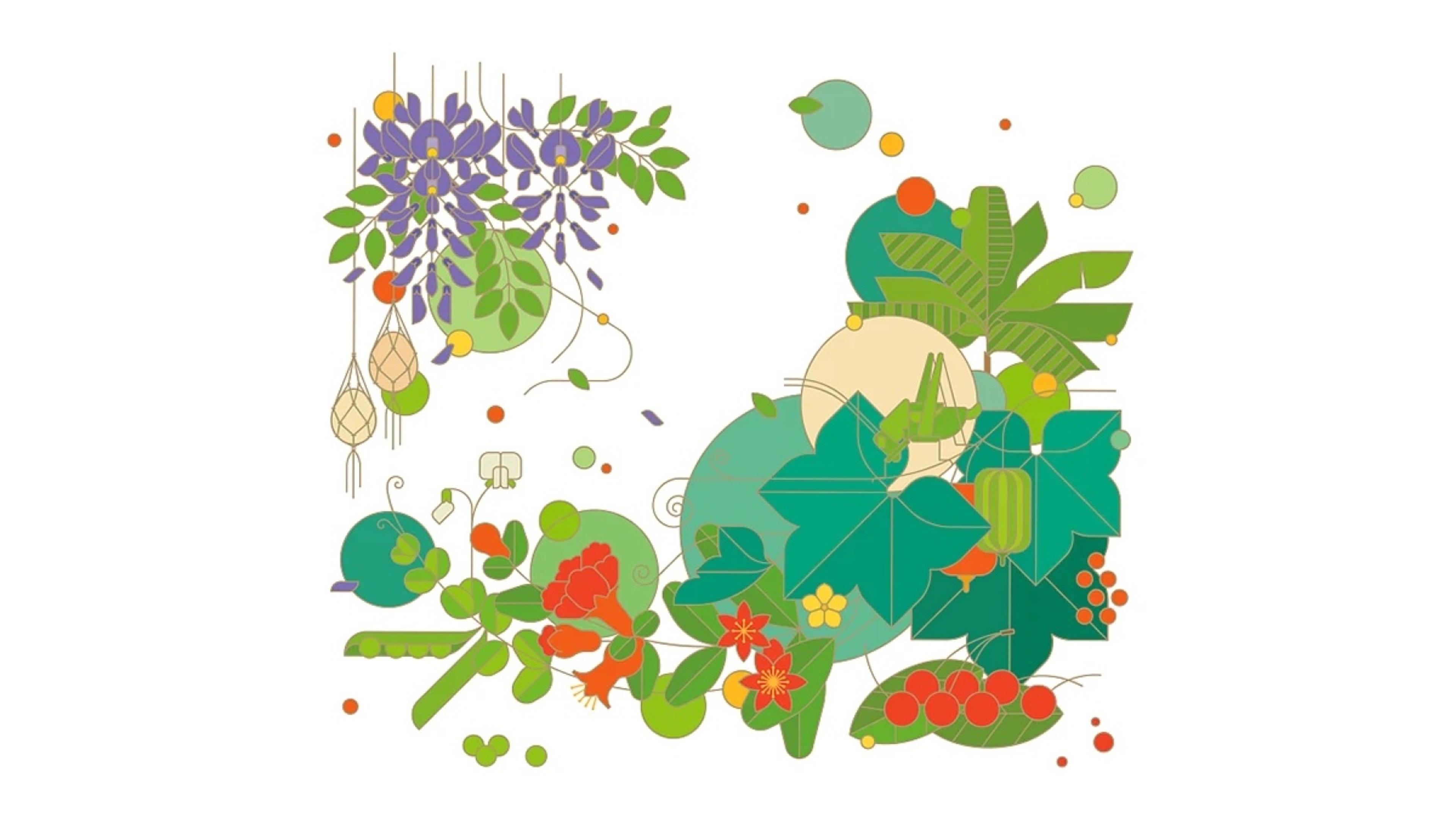 Baiyao LIFE+ wisteria and lanterns illustration, full artwork