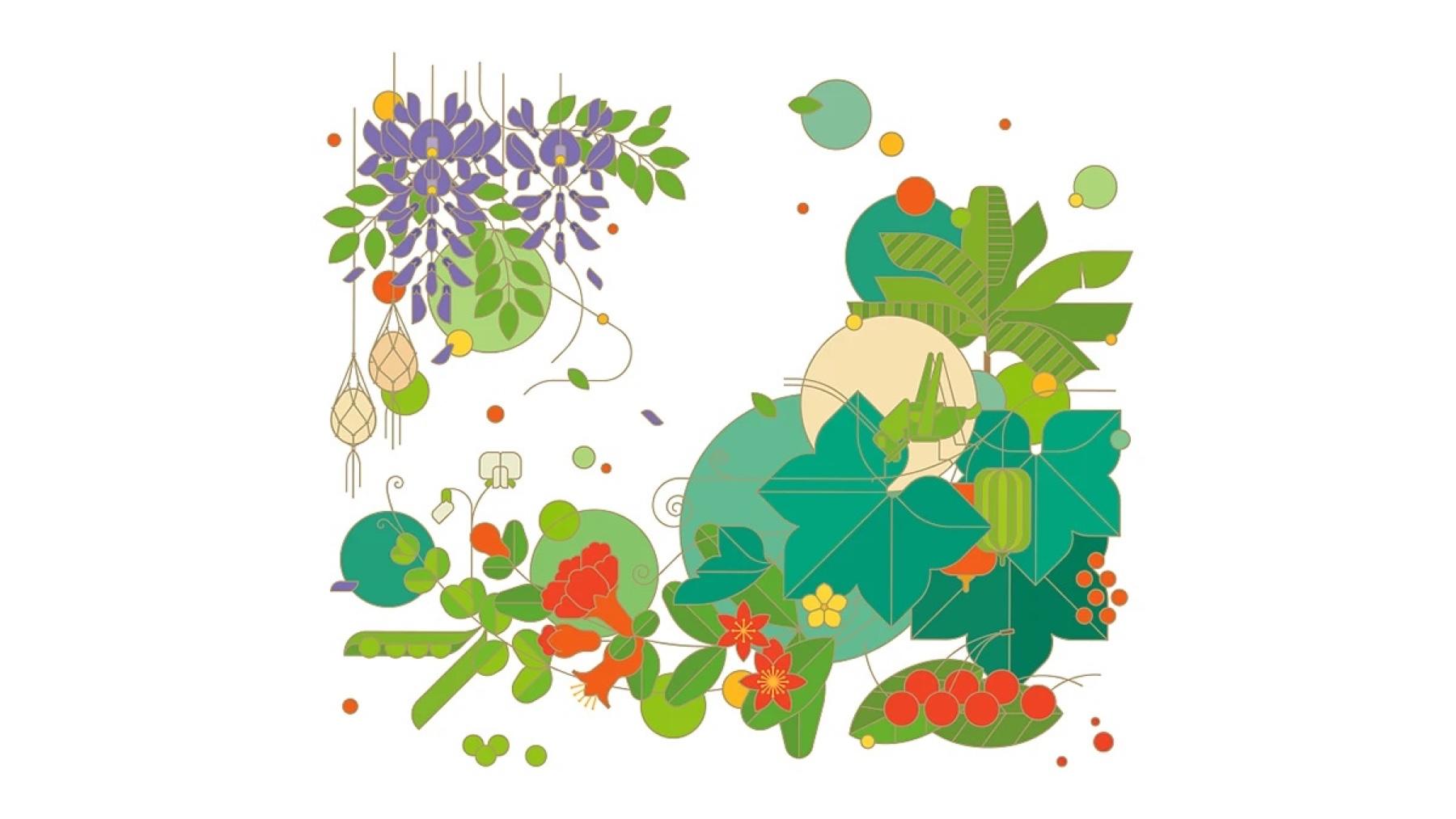 Baiyao LIFE+ wisteria and lanterns illustration, full artwork