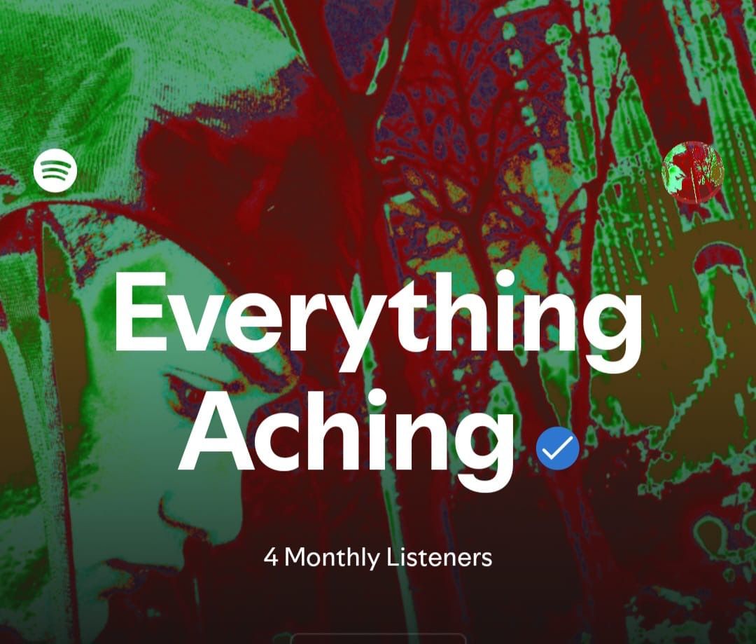 Marcelo Emilio Uriel ( Everything Aching) - Imagen 4