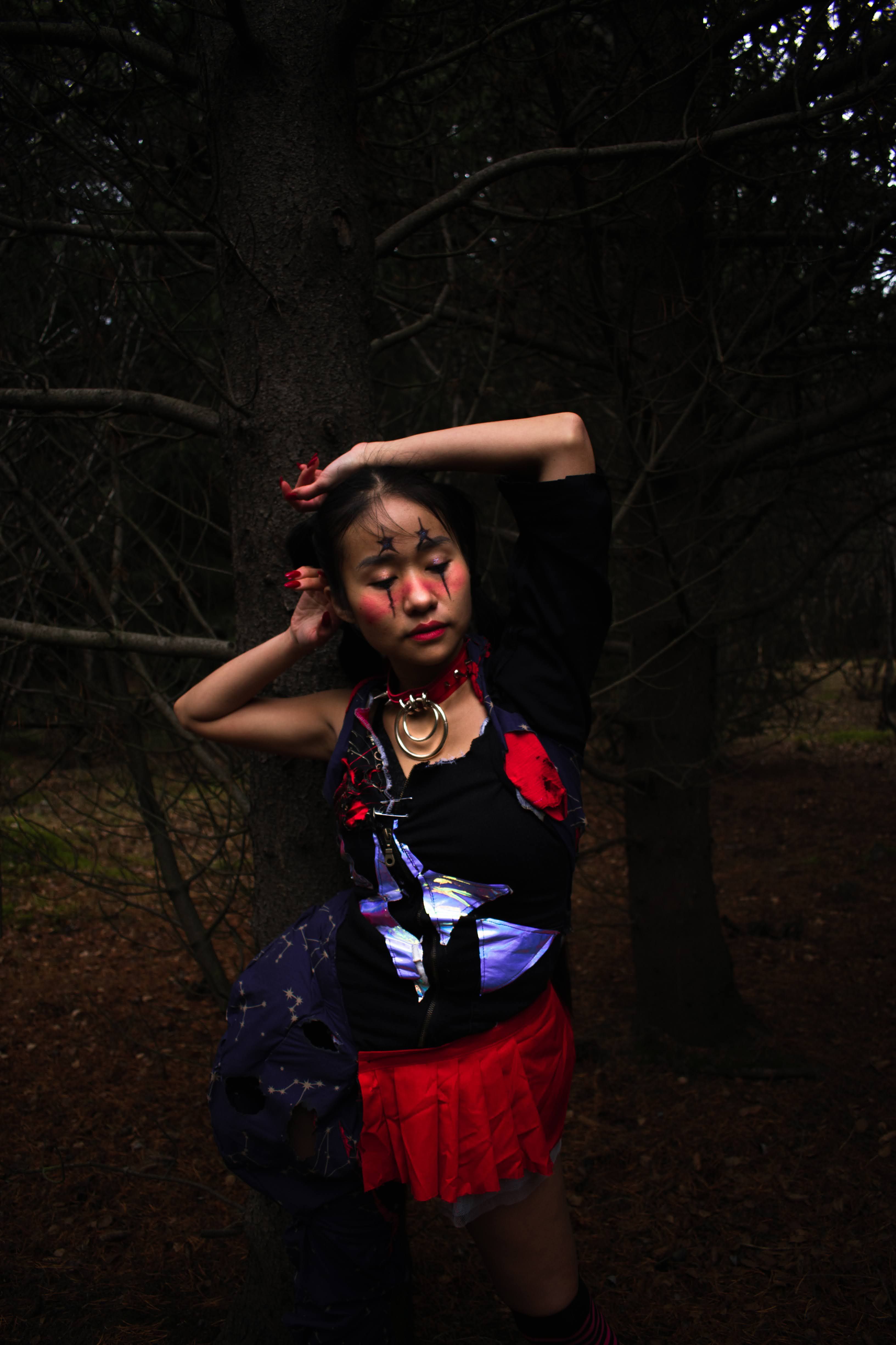 Netsu No Yume (Fever Dream) - Imagen 4