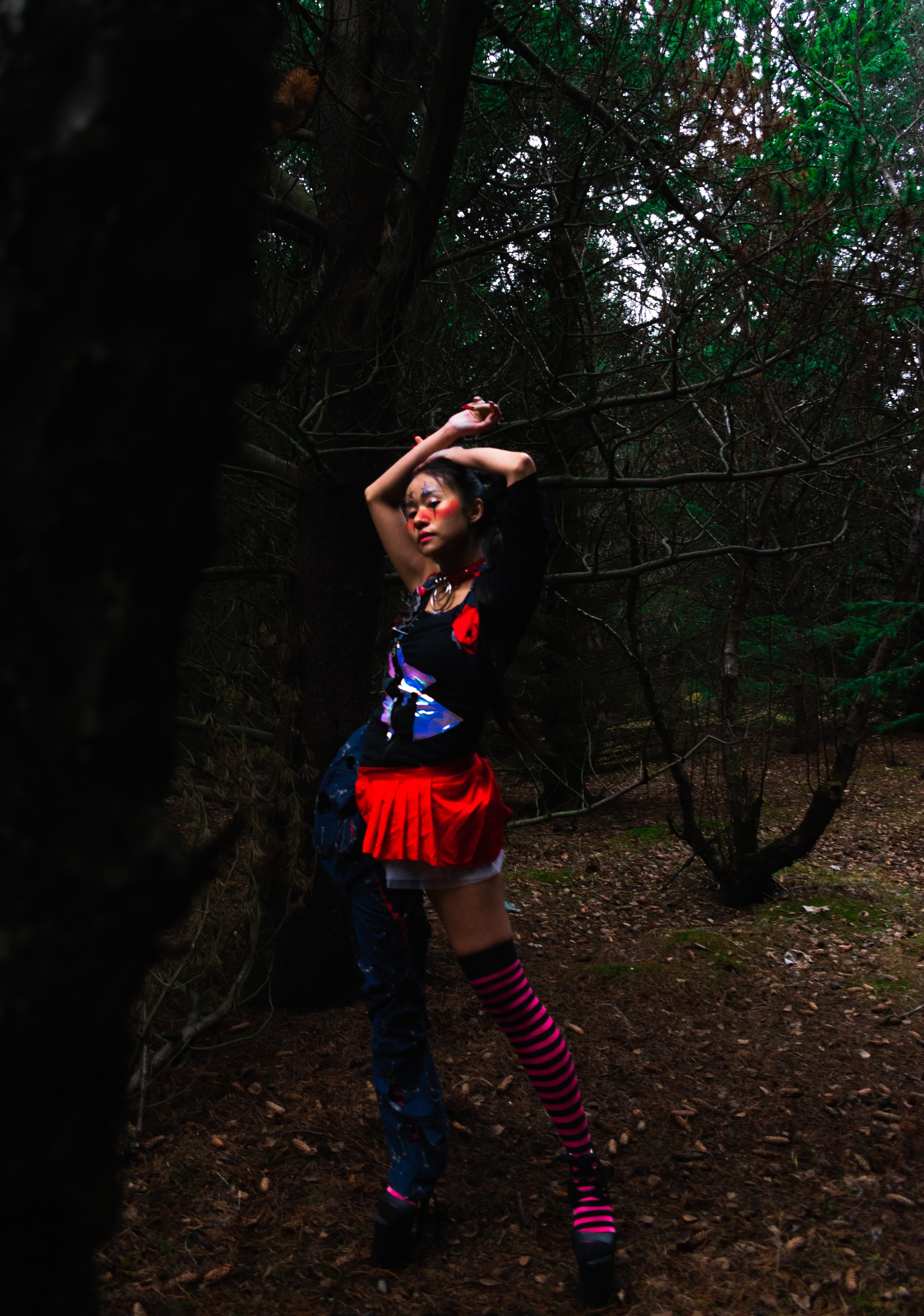 Netsu No Yume (Fever Dream) - Imagen 1